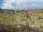Pocatello Real Estate - MLS #580866 - Photograph #33