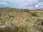 Pocatello Real Estate - MLS #580866 - Photograph #34