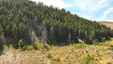 Pocatello Real Estate - MLS #580866 - Photograph #3