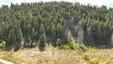 Pocatello Real Estate - MLS #580866 - Photograph #11