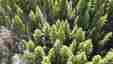 Pocatello Real Estate - MLS #580866 - Photograph #13