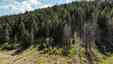 Pocatello Real Estate - MLS #580866 - Photograph #15