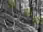 Pocatello Real Estate - MLS #580866 - Photograph #23
