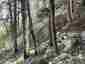 Pocatello Real Estate - MLS #580866 - Photograph #26