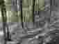 Pocatello Real Estate - MLS #580866 - Photograph #27