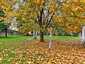 Pocatello Real Estate - MLS #580867 - Photograph #34