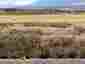 Pocatello Real Estate - MLS #580982 - Photograph #2