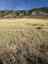 Pocatello Real Estate - MLS #580984 - Photograph #9