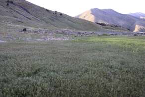 Pocatello Idaho Real Estate