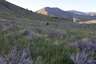 Pocatello Real Estate - MLS #581046 - Photograph #3