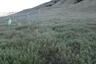 Pocatello Real Estate - MLS #581046 - Photograph #11