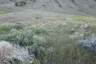 Pocatello Real Estate - MLS #581046 - Photograph #19