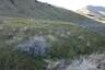 Pocatello Real Estate - MLS #581046 - Photograph #20
