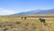 Pocatello Real Estate - MLS #581057 - Photograph #18