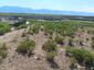 Pocatello Real Estate - MLS #581058 - Photograph #6