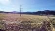 Pocatello Real Estate - MLS #581150 - Photograph #13