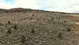 Pocatello Real Estate - MLS #581263 - Photograph #34