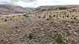 Pocatello Real Estate - MLS #581263 - Photograph #36