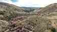 Pocatello Real Estate - MLS #581263 - Photograph #7
