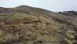 Pocatello Real Estate - MLS #581267 - Photograph #10