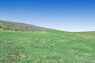 Pocatello Real Estate - MLS #581355 - Photograph #44