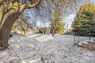 Pocatello Real Estate - MLS #581370 - Photograph #36