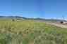 Pocatello Real Estate - MLS #581548 - Photograph #3
