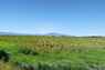 Pocatello Real Estate - MLS #581548 - Photograph #4