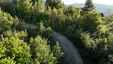 Pocatello Real Estate - MLS #581690 - Photograph #21