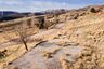 Pocatello Real Estate - MLS #581768 - Photograph #13