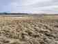 Pocatello Real Estate - MLS #581855 - Photograph #45