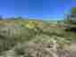 Pocatello Real Estate - MLS #582090 - Photograph #5