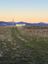 Pocatello Real Estate - MLS #582129 - Photograph #22