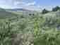 Pocatello Real Estate - MLS #582180 - Photograph #30