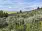 Pocatello Real Estate - MLS #582180 - Photograph #37