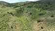 Pocatello Real Estate - MLS #582180 - Photograph #5