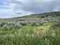 Pocatello Real Estate - MLS #582180 - Photograph #21