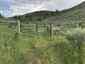 Pocatello Real Estate - MLS #582180 - Photograph #23