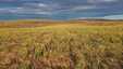 Pocatello Real Estate - MLS #582195 - Photograph #7