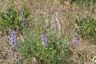 Pocatello Real Estate - MLS #582205 - Photograph #13