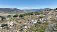 Pocatello Real Estate - MLS #582205 - Photograph #27