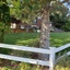 Pocatello Real Estate - MLS #582254 - Photograph #39