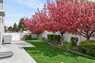Pocatello Real Estate - MLS #582254 - Photograph #41