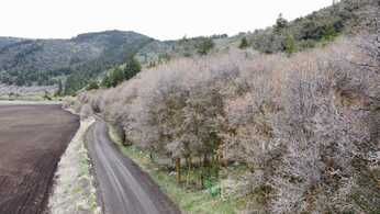 Grace Idaho Real Estate