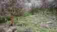 Pocatello Real Estate - MLS #582324 - Photograph #3