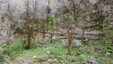 Pocatello Real Estate - MLS #582324 - Photograph #4