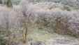 Pocatello Real Estate - MLS #582324 - Photograph #5