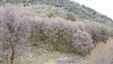 Pocatello Real Estate - MLS #582324 - Photograph #6