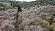 Pocatello Real Estate - MLS #582324 - Photograph #7