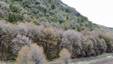 Pocatello Real Estate - MLS #582324 - Photograph #8